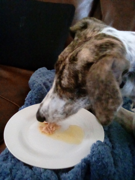 Can't get the fricking lids off these jars!