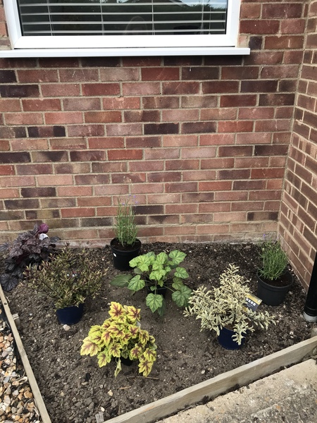 How to transform a small bare spot