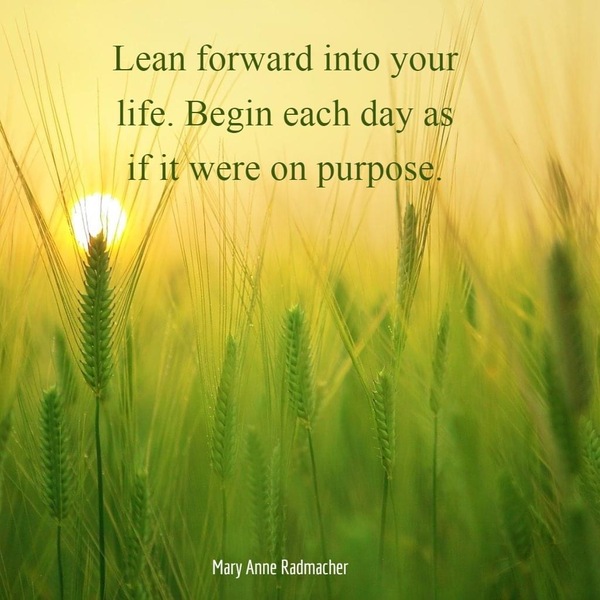 Any Witches Here? Part 11