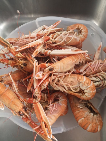 Leaving Lockdown Low Carb Bootcamp - week 9