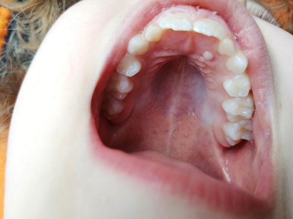 Doctor or Dentist?