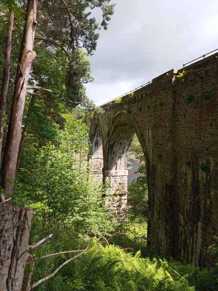 Lockdown (almost) over and frugalling continues!