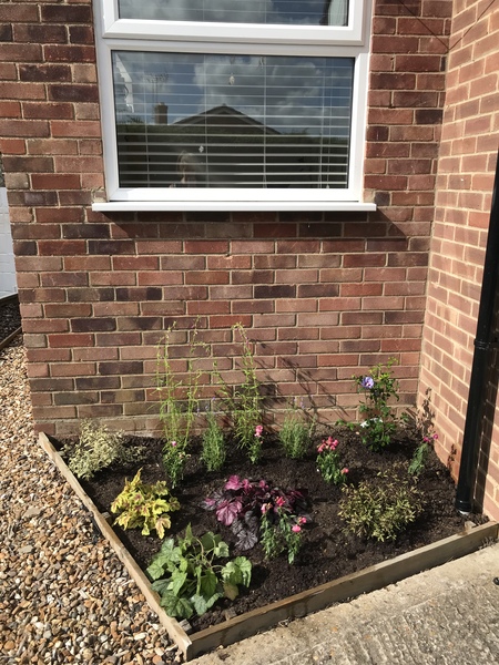 How to transform a small bare spot