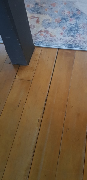 Anyone have antique floorboards with gaps between?