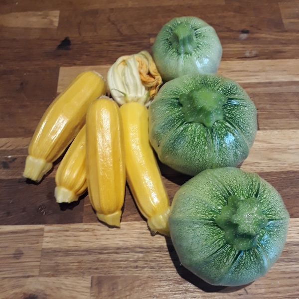 Allotment/Veg Patch Thread 15 - will winter ever end?