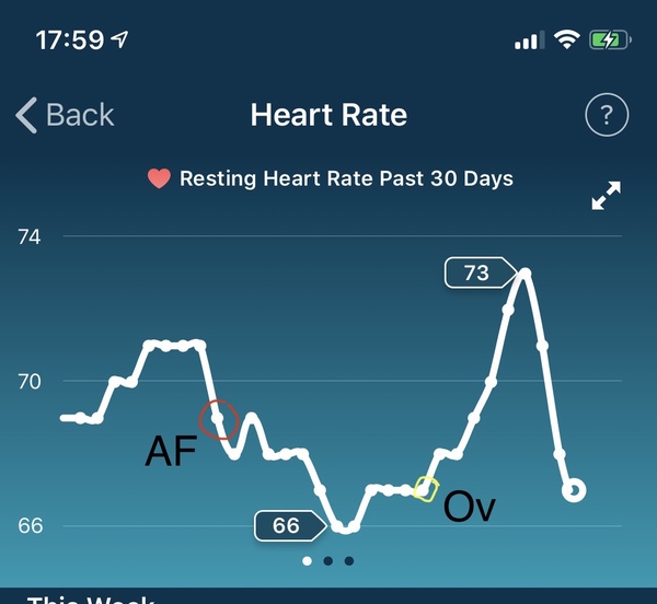 Tracking your cycle and possible BFP using RHR - part 2