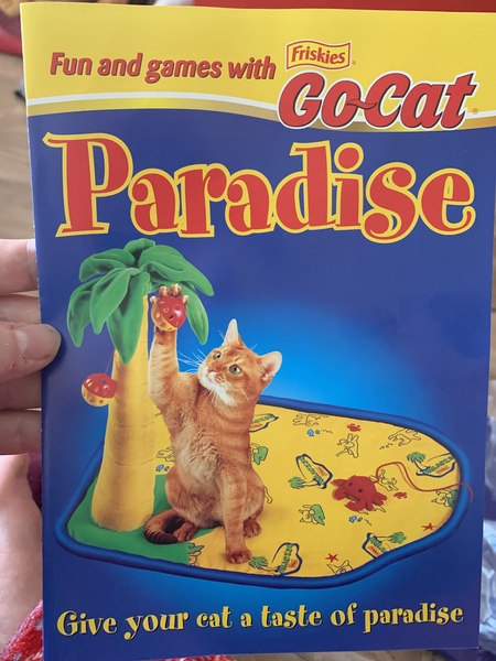 I don’t ever remember to cat looking like this?
