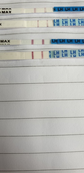AF Due 20/07