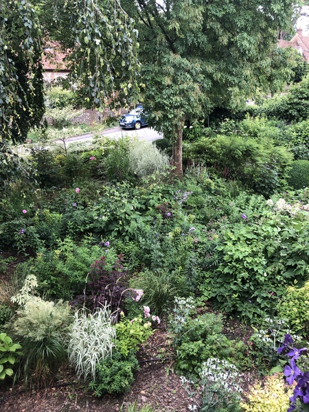 small lawn or no lawn....?