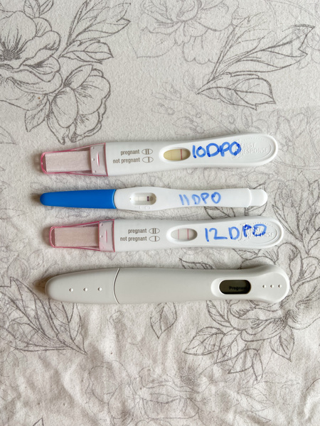NEWBIE 🙋🏼‍♀️ TTC first baby - anyone else new to the journey?