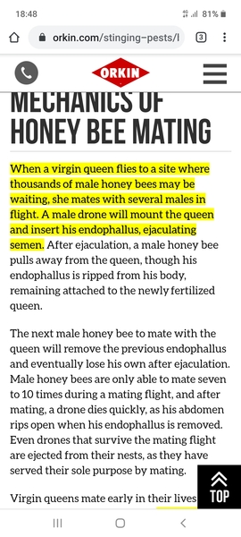 There's about 200 wasps outside my house going bonkers
