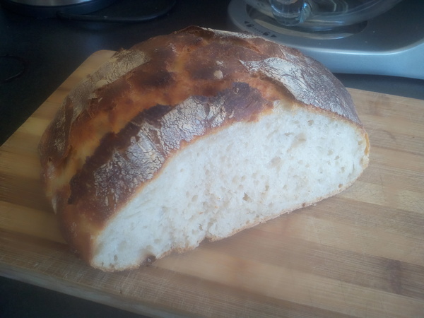 Calling sourdough starter experts!