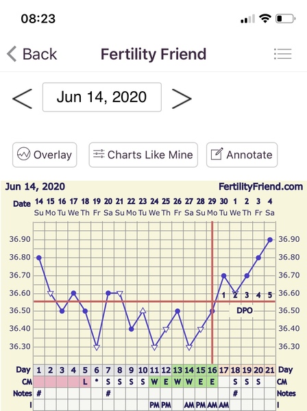 Penguin huddle 🐧🐧🐧 TTC after pregnancy loss - Thread 35 - time for some sticky BFP's