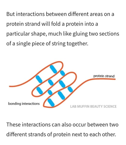 ➿ Fantastic Haircare: Making Sense and Science of the Curly Girl Method