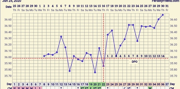 BBT chart help please