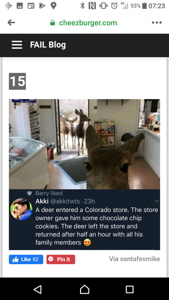 Oh deer! Is this the ultimate CF?