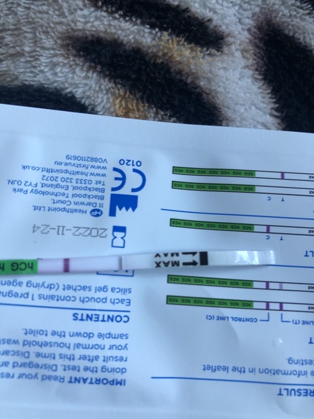 Pregnancy test