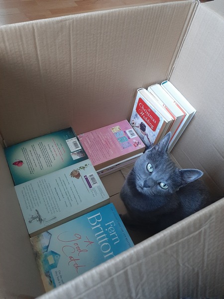 Cat being sick