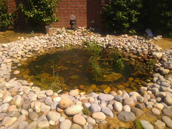 Show me your garden ponds large and small please!