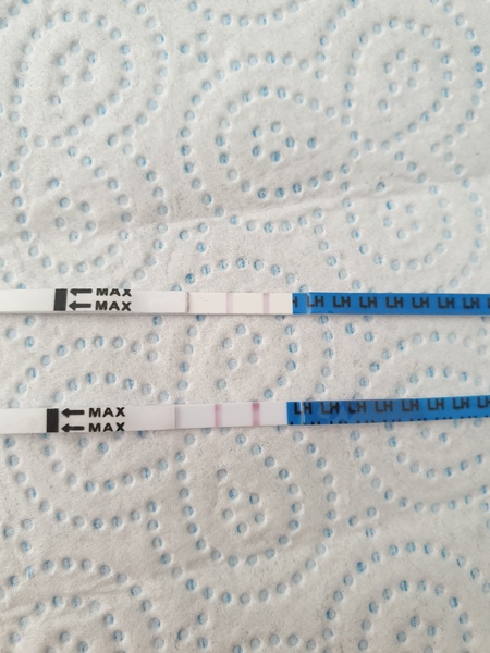 1dpo today! Anyone want to join the wait?