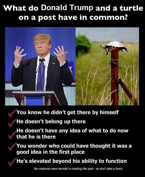The Great American Comeback Festival - Not (Trump Thread #102)