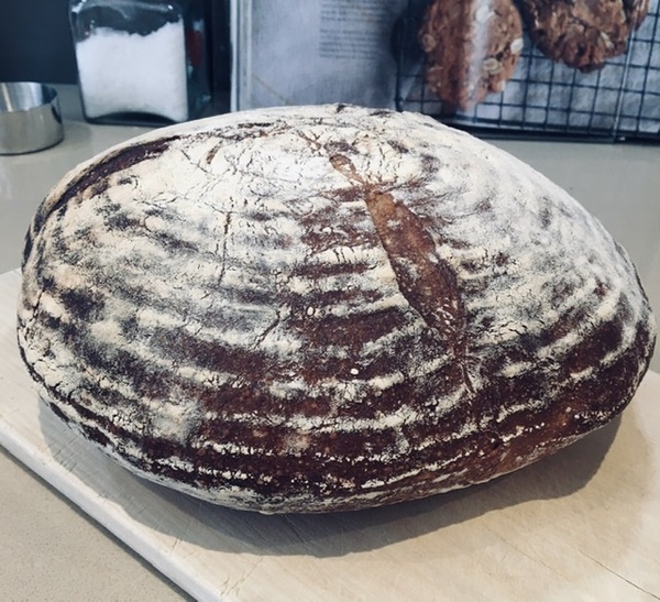 Calling sourdough starter experts!