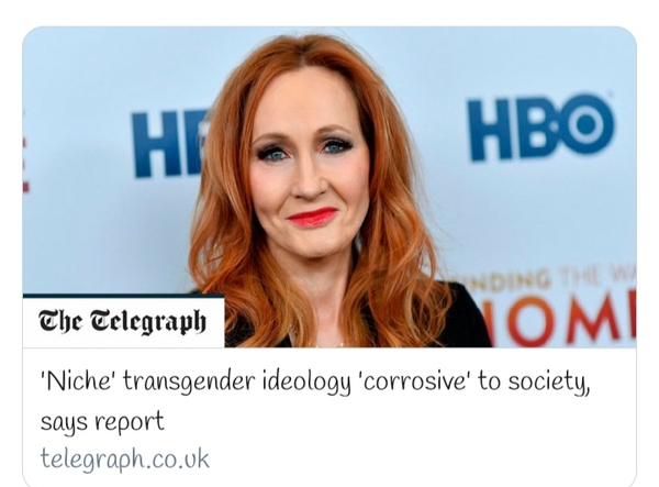 'Niche' transgender ideology 'corrosive' to society, says report.