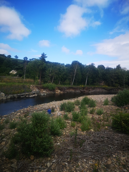 Pregnant After Loss and Dreaming of Rainbows - 4