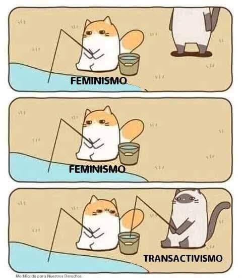 Could someone explain the differences between same-sex marriage and TWAW?