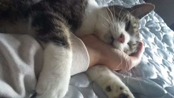 14 YO cat PTS at home on Wednesday and I still can’t stop crying. When does this bet easier?