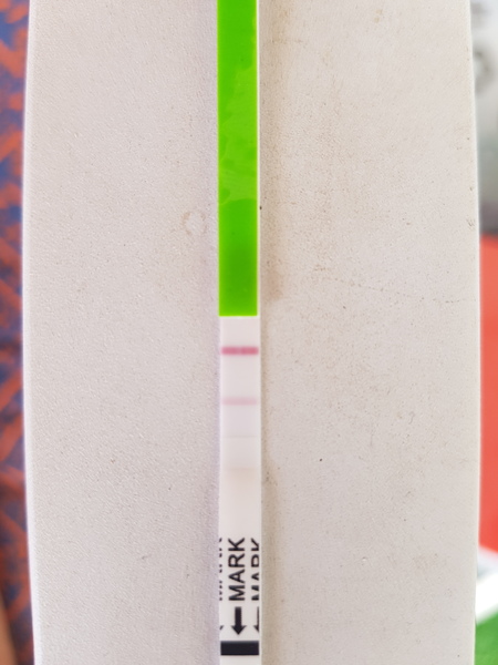 Ovulation