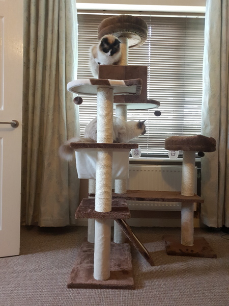 Meet Fleur
