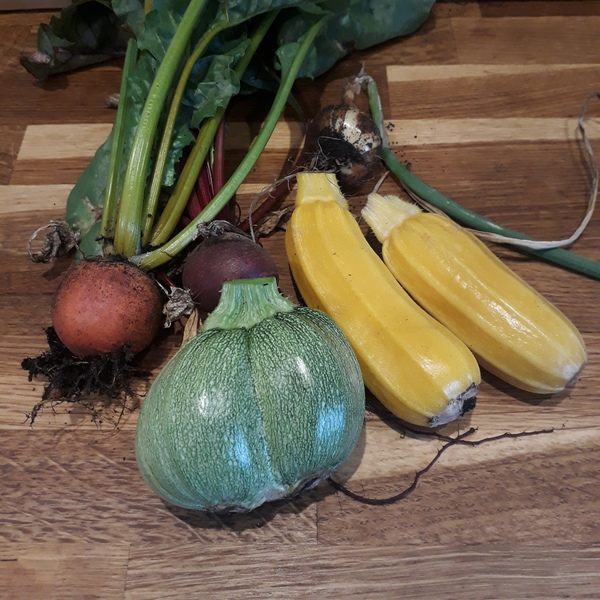 Allotment/Veg Patch Thread 15 - will winter ever end?
