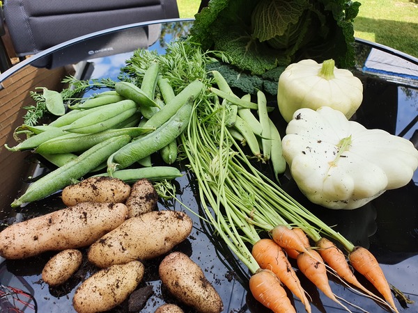 Allotment/Veg Patch Thread 15 - will winter ever end?