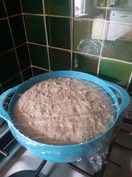 Help! Bread dough hasn't risen