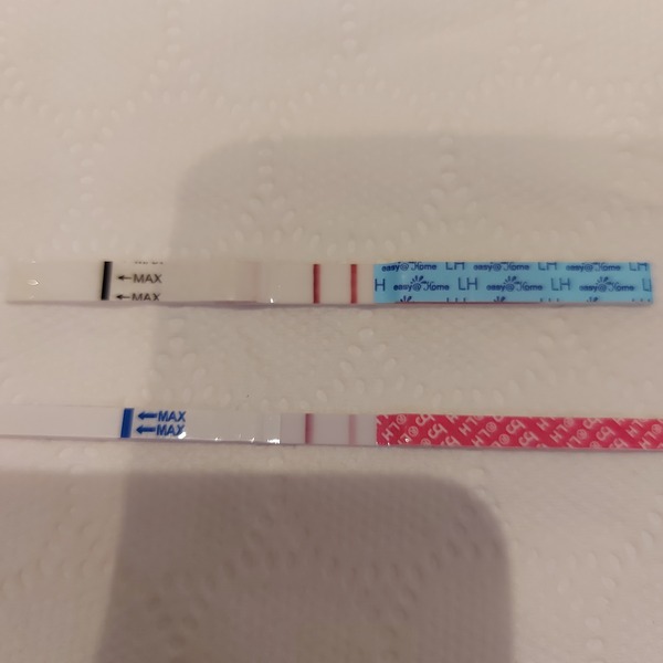 Penguin huddle 🐧🐧🐧 TTC after pregnancy loss - Thread 35 - time for some sticky BFP's