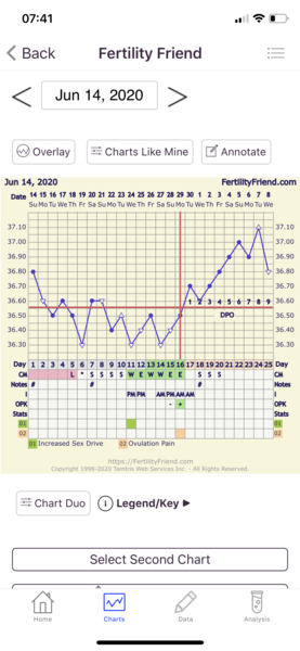 Penguin huddle 🐧🐧🐧 TTC after pregnancy loss - Thread 35 - time for some sticky BFP's