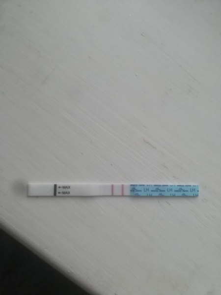 Ovulation test help!