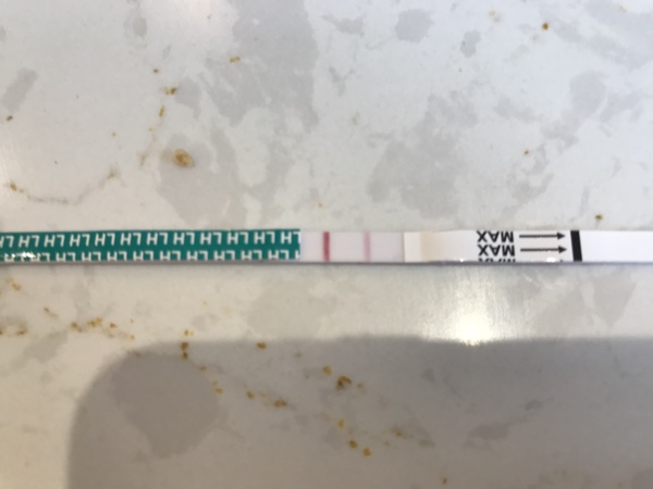 New to OPK...help reading please