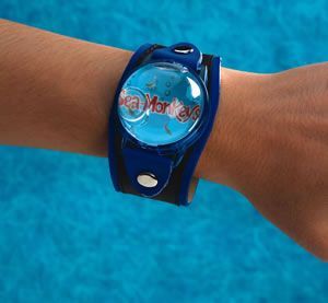 Is it cruel to throw sea monkeys away?