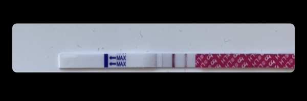 Is it true that a positive ovulation test will show a positive result if you're pregnant?