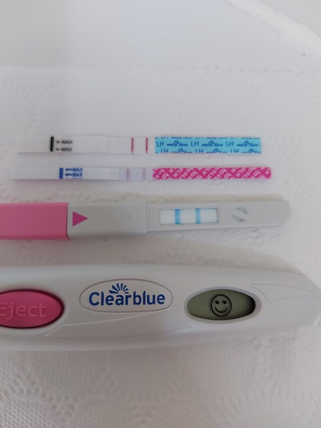 Penguin huddle 🐧🐧🐧 TTC after pregnancy loss - Thread 35 - time for some sticky BFP's