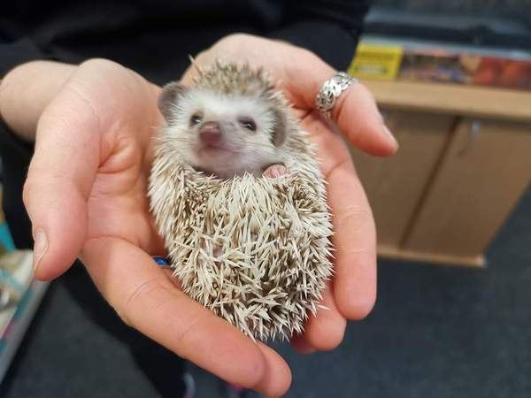 TTC after MC - July 2020 (Thread 7)