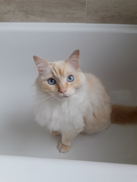 What's your DCat up to today? (Thread 8)