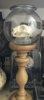 Curio cabinet