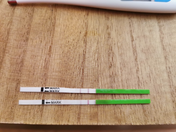 BBT chart help please