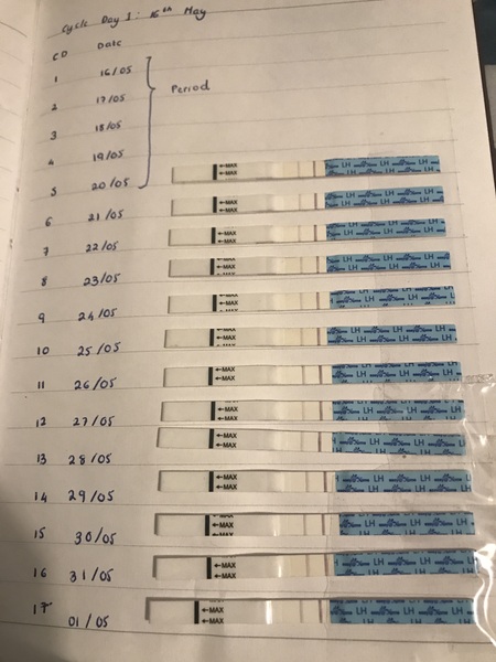 AF Due 20/07