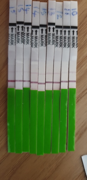 TTC baby no1. Looking for fellow crazy TTC friends!