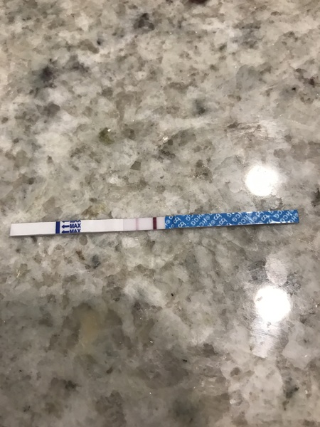 Is this a BFP?