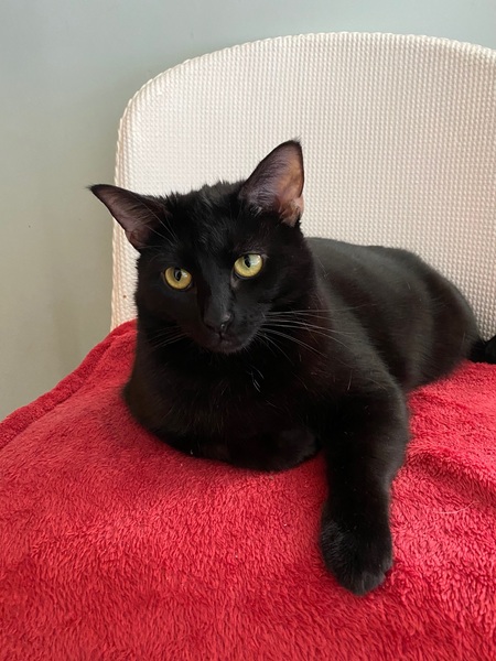 Using up stuff - minimal spends